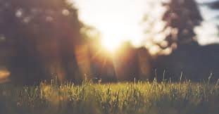 Qué es el impuesto de sucesiones y donaciones.